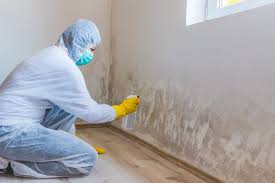 Best Asbestos and Lead Testing During Mold Inspection  in White Hall, IL