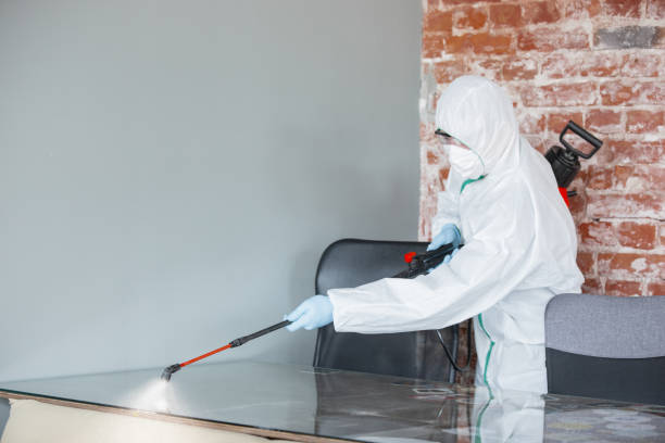 Trusted White Hall, IL Mold Inspection Experts