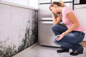 Best Emergency Mold Remediation  in White Hall, IL